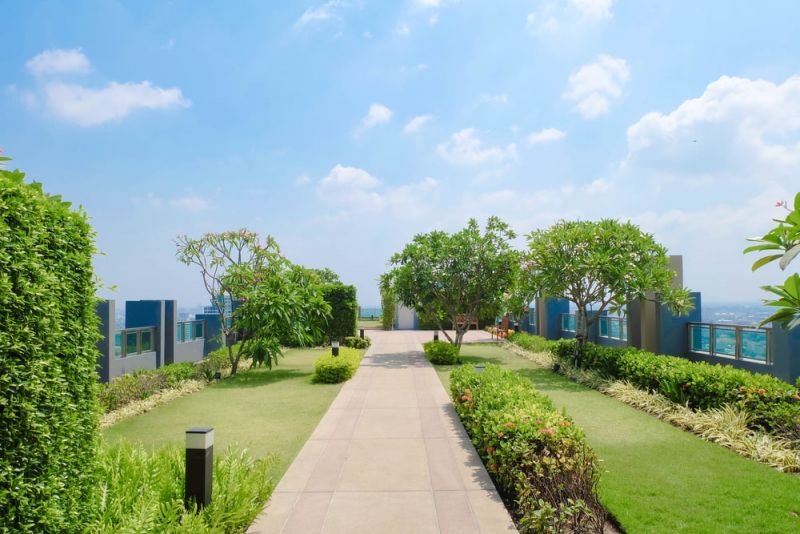 Những vị trí và loại cây phù hợp cho không gian nhà bạn