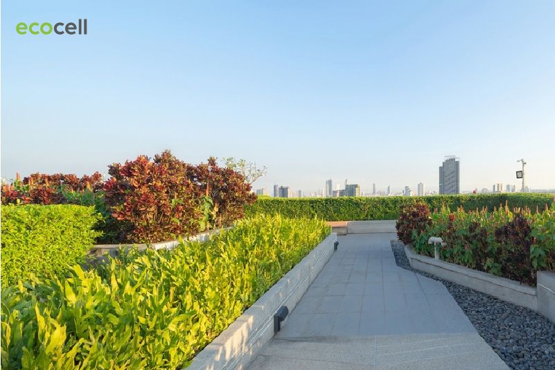 Những ý tưởng độc đáo trong thiết kế và thi công cảnh quan xanh 1 Cảnh quan vườn mái tạo nên xu hướng thế giới hiện đại